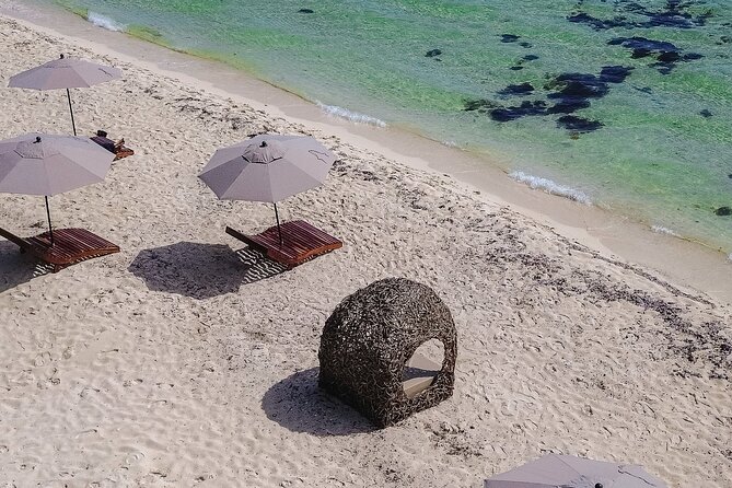 Cozumel Playa Palancar VIP All Inclusive Day Pass - Mexican + Seafood All-Inclusive: Where the Value Actually Shows Up
