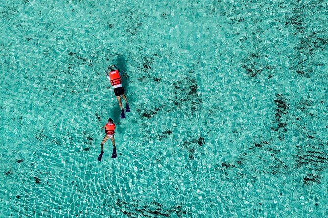 Cozumel: VIP Access Pass at KUZÁ Beach & Adventure Park - Alcohol rules, age limits, and why they’re actually a good thing