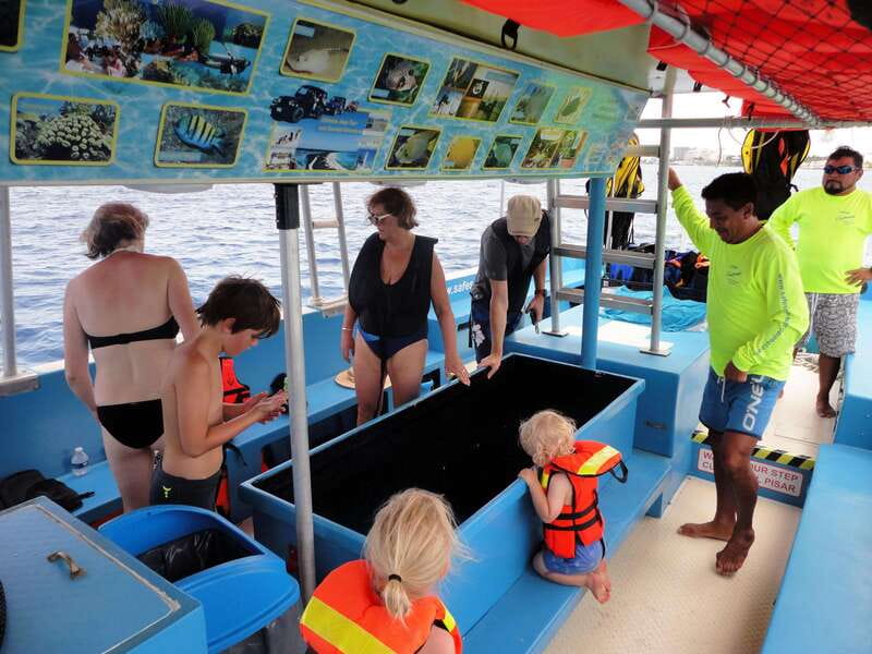 Cozumel: VIP Glass Bottom Boat & Snorkeling 3 Reefs Tour - Stops 2 and 3 at Paraiso Reef: the main show