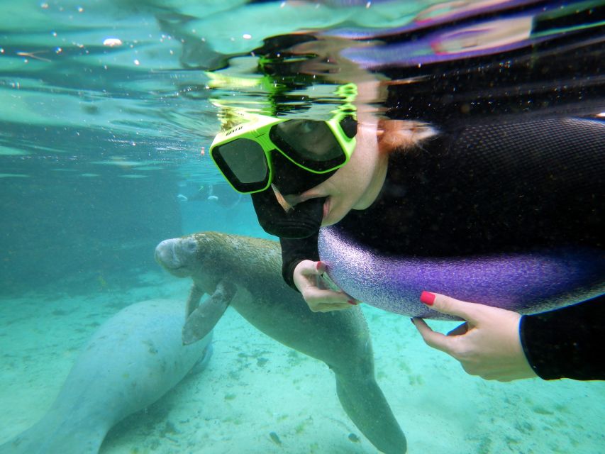 Crystal River: VIP Manatee Swim w/ In-water Photographer - Meeting at 498 SE Kings Bay Drive: how the start sets the tone