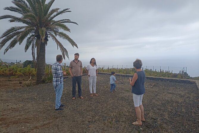 Custom Private Tenerife Full Island VIP Tour - photos included - UNESCO La Laguna old town: cobbles, mansions, and coffee time