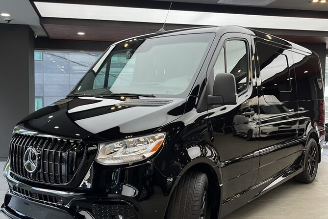Customizable Private Seoul Tour in luxury van for VIP - Markets that feed you: Gwangjang to Namdaemun