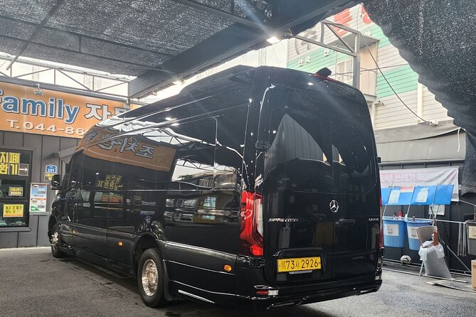 Customizable Private Seoul Tour in luxury van for VIP - Bongeunsa to Lotte World Tower: temples up top and city views later