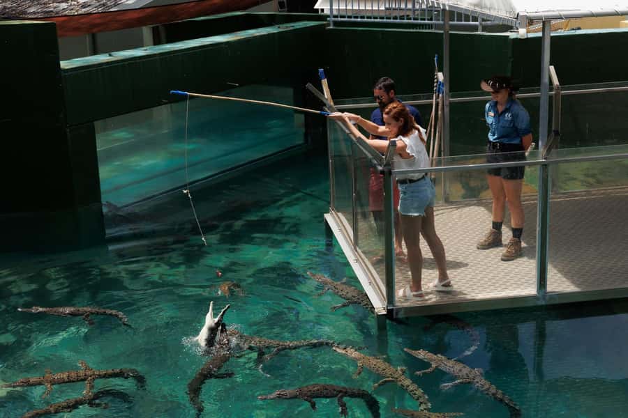 Darwin: VIP Crocosaurus Cove Experience - VIP Crocosaurus Cove: What the 90 Minutes Actually Give You
