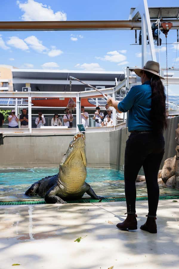 Darwin: VIP Crocosaurus Cove Experience - Feeding a 5-Meter Saltwater Crocodile: The Moment With Real Weight