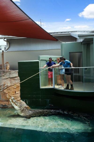 Darwin: VIP Crocosaurus Cove Experience - Meeting Your Handlers and Getting the Safety Basics Fast