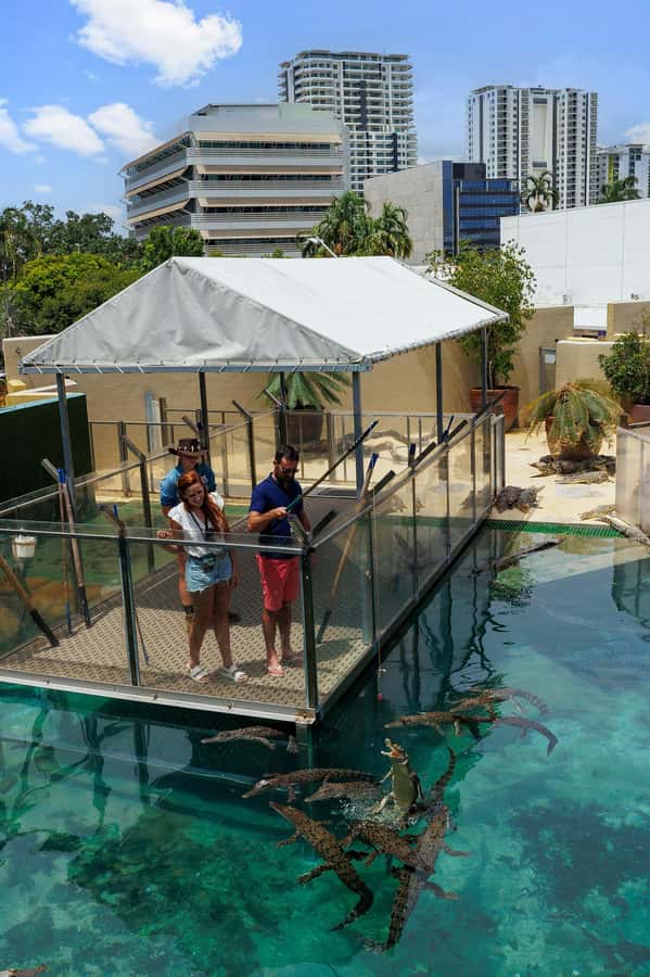 Darwin: VIP Crocosaurus Cove Experience - Price and Value: Is $66 Worth It?