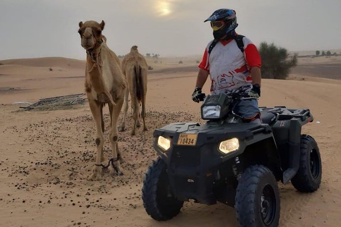 Desert Safari Dubai (PREMIUM VIP) - How the 2:30 pm start shapes your whole night