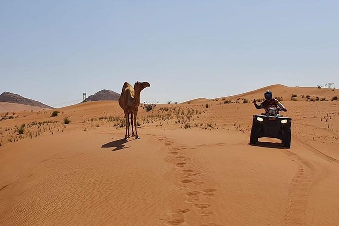 Desert Safari Dubai (PREMIUM VIP) - BBQ dinner with VIP seating: food, tea, and live entertainment
