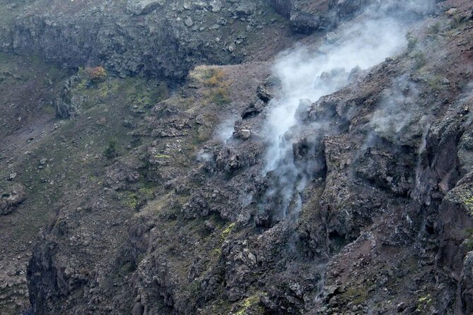 Discovering the Vesuvius - VIP tour / Small group - Tips That Make the Day Smoother