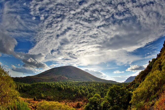 Discovering the Vesuvius - VIP tour / Small group - Naples Pickup to Pompeii: Fast Start, Fewer Headaches