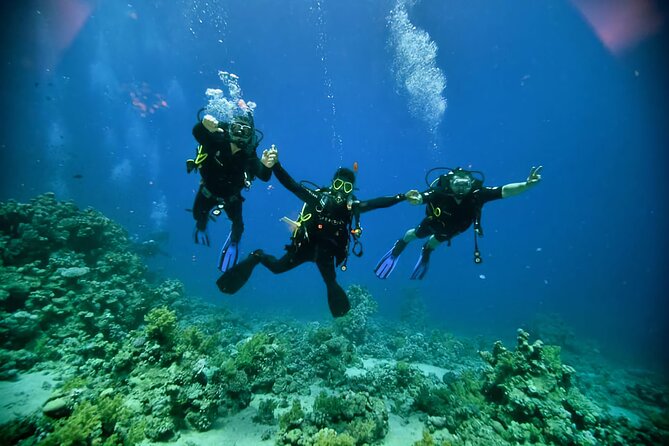 Diving And Snorkeling To Ras Mohamed And White Island By VIP Boat - Key highlights at a glance