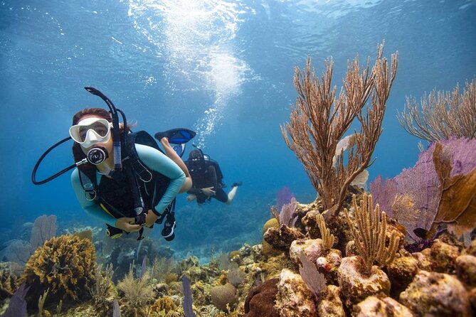Diving And Snorkeling To Ras Mohamed And White Island By VIP Boat - Scuba try for beginners: what the short session really means