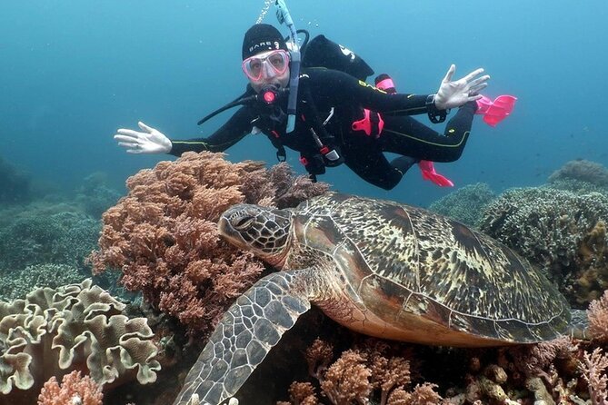 Diving And Snorkeling To Ras Mohamed And White Island By VIP Boat - What to pack so weather and timing don’t spoil your day