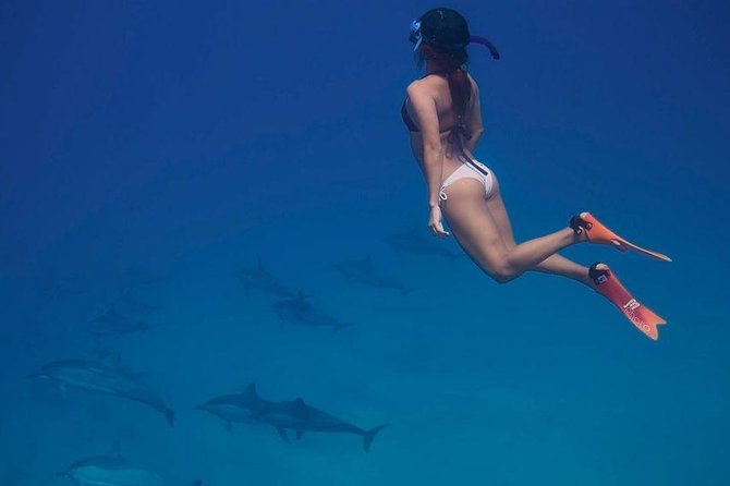 Dolphin House Royal VIP Special Day Snorkeling Sea Trip With Lunch - Hurghada - Snorkeling in the Red Sea: two guided sessions and real expectations