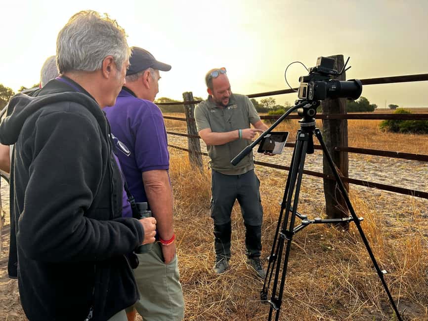 Doñana: 4x4 Excursion and Exclusive Access to Coto del Rey - Quick takes before you go