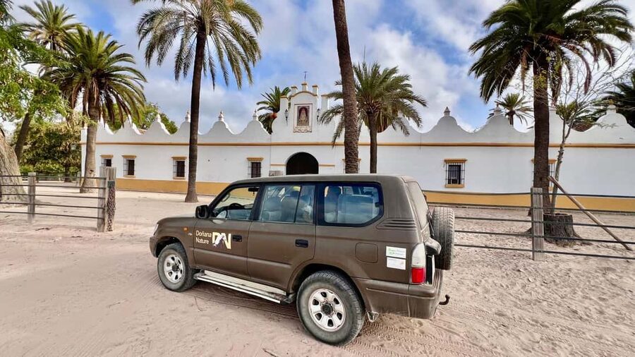 Doñana: 4x4 Excursion and Exclusive Access to Coto del Rey - The first off-road segment: 105 minutes of northern Doñana