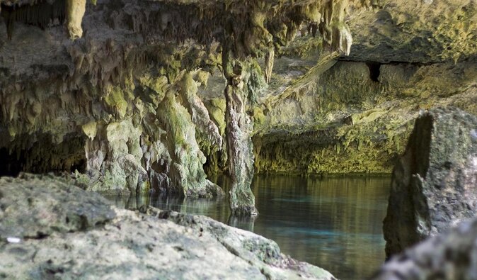 Dos Ojos Cenote VIP Private Tour – Snorkeling & Mayan Lunch - Key highlights in plain English
