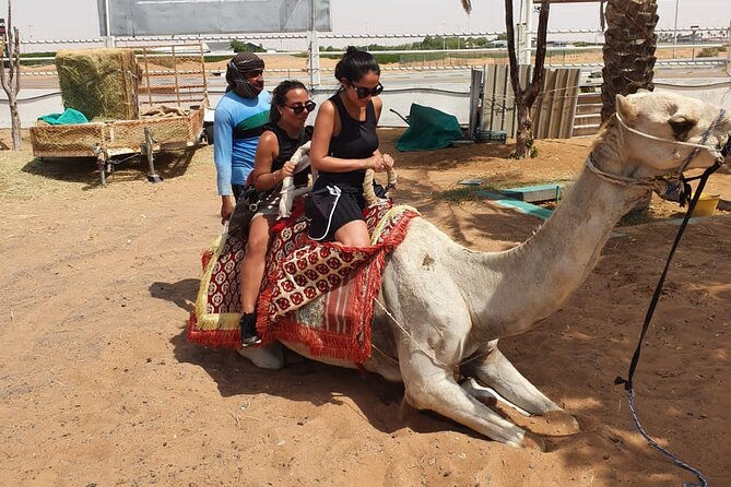 Dubai: All Inclusive Desert Safari with ATV, Camel, Horse ride, Vip & more - Value check: what makes this all-inclusive safari worth $164.50