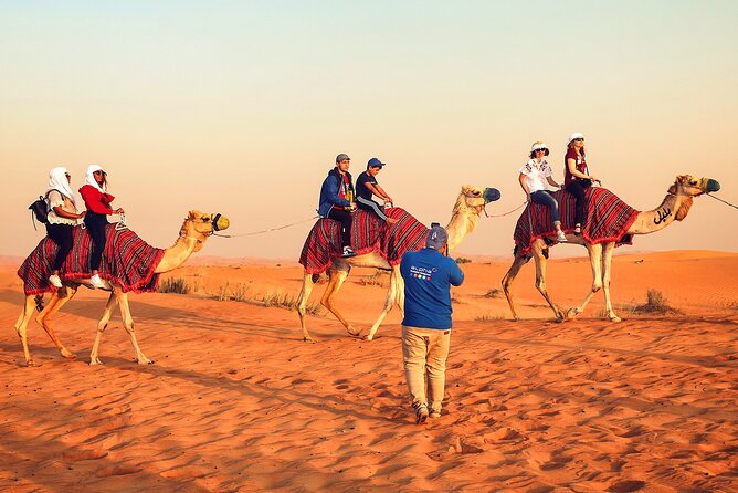 Dubai: Desert Safari, Quad Bike, Camel Ride with VIP Majlis - Group size and comfort: 6 per car, max 100 total
