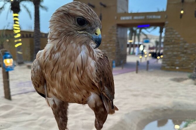 Dubai Desert Safari VIP Package - Dinner That Doesn’t Feel Like an Afterthought