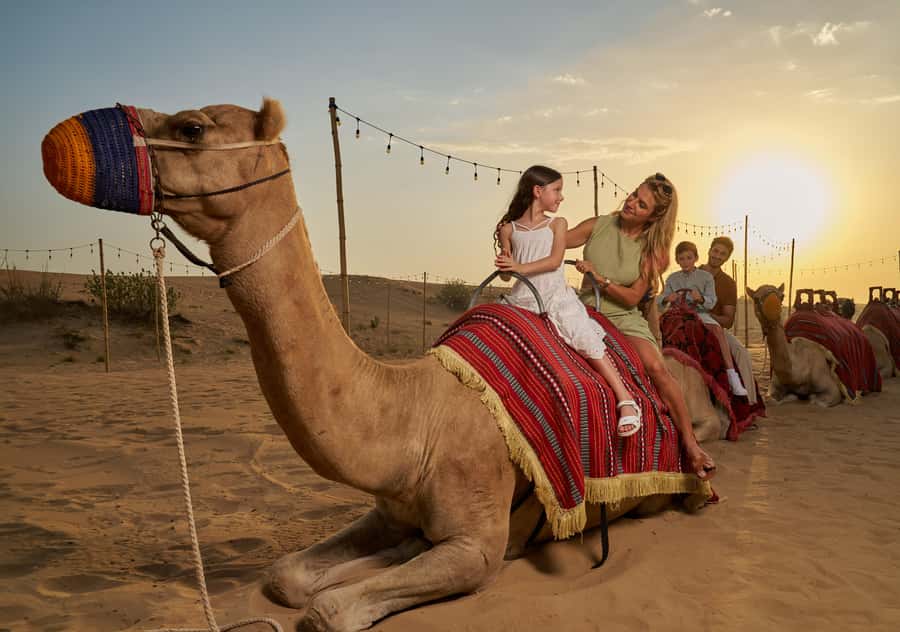 Dubai: Exclusive VIP Desert Safari Dinner with Live Show - Noble Camp Souq entry: henna, camels, and real atmosphere