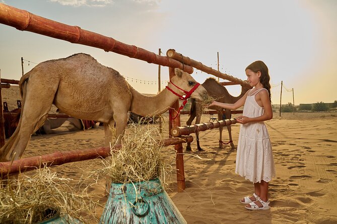 Dubai Private VIP Desert Dinner and Live Entertainment Show - The live entertainment lineup: fire, Sa’idi, Dabka, and belly performances