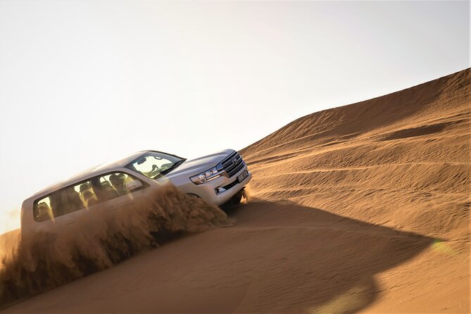 Dubai Red Dunes with Sandboarding, Camel Ride, Falcon & VIP Camp - Key things to know before you go