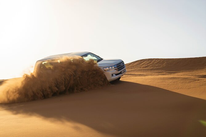 Dubai Red Dunes with Sandboarding, Camel Ride, Falcon & VIP Camp - Falcon photo time and sunset desert photos