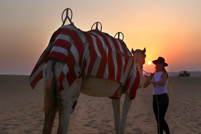 Dubai Sunset Camel Trekking With BBQ Dinner at VIP Camp - The Show Lineup: Yola, Fire, Tanoura-Style Dance, and Falconry