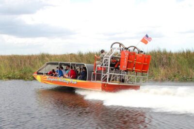 Everglades VIP Airboat Tour with Transportation Included - The Airboat Ride: Speed, Stops, and Wildlife-Spotting Moments