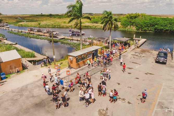 Everglades VIP Airboat Tour with Transportation Included - What to Expect From the Timing (Morning vs Afternoon)