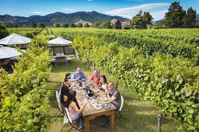 Exclusive Picton Wine & Scenic Adventure: VIP Cruise Experience - Price and what you’re really paying for (up to 11 people)