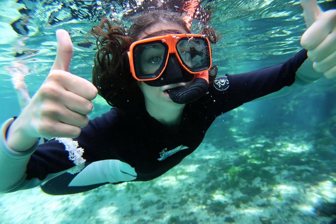 Exclusive Small Group VIP Heated Manatee Snorkel Tour - Included Photos and Video: Worth It, With One Real-World Caveat