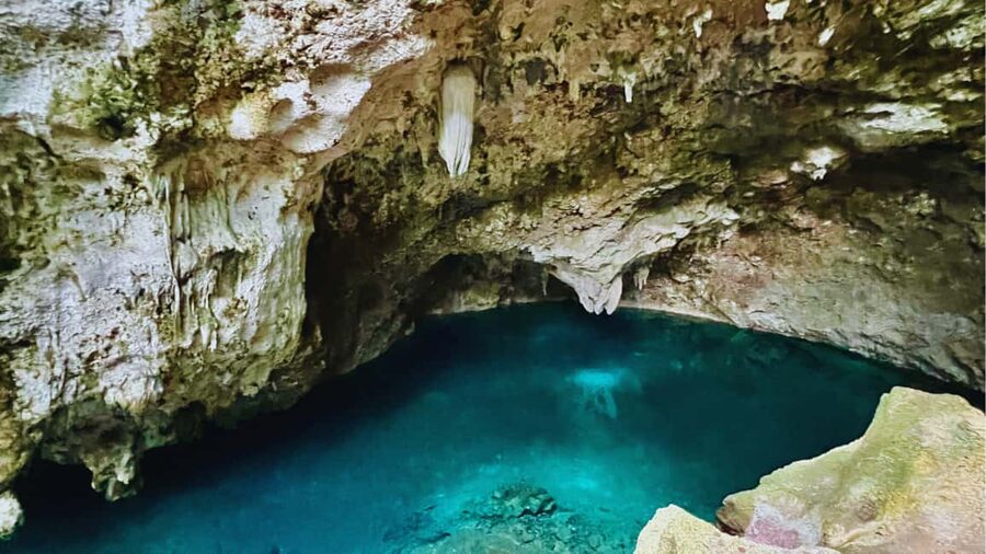 Exclusive VIP Excursion: Santo Domingo from Punta Cana – Private Service - Who this Santo Domingo VIP excursion suits best
