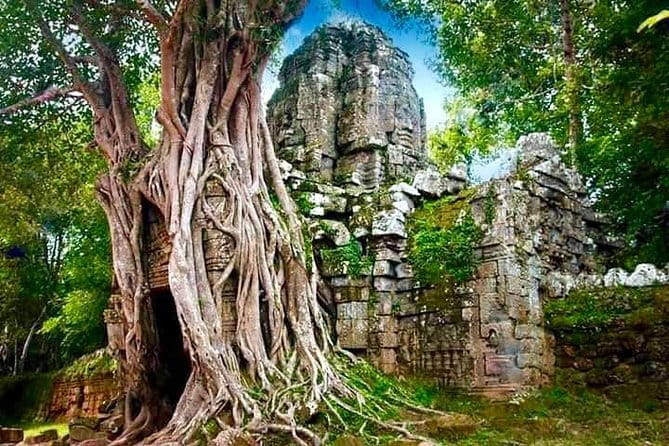 Explore Angkor Wat Sunrise Small Tour Private VIP Car - The 4:30am Pickup That Changes Everything