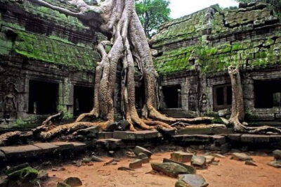 Explore Angkor Wat Sunrise Small Tour Private VIP Car - Angkor Wat Sunrise: From Quiet Darkness to Big Stone Drama