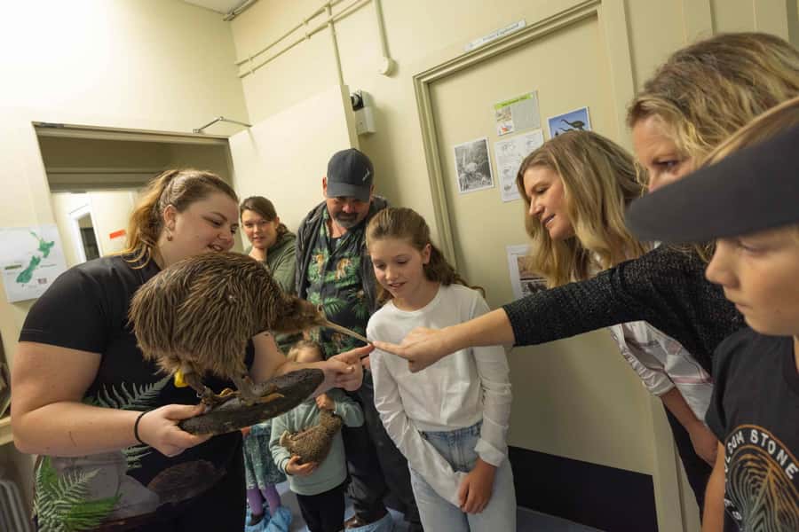 Franz Josef: Kiwi VIP Backstage Pass Tour -Booking Essential - West Coast Wildlife Centre in Franz Josef: an indoor conservation mission