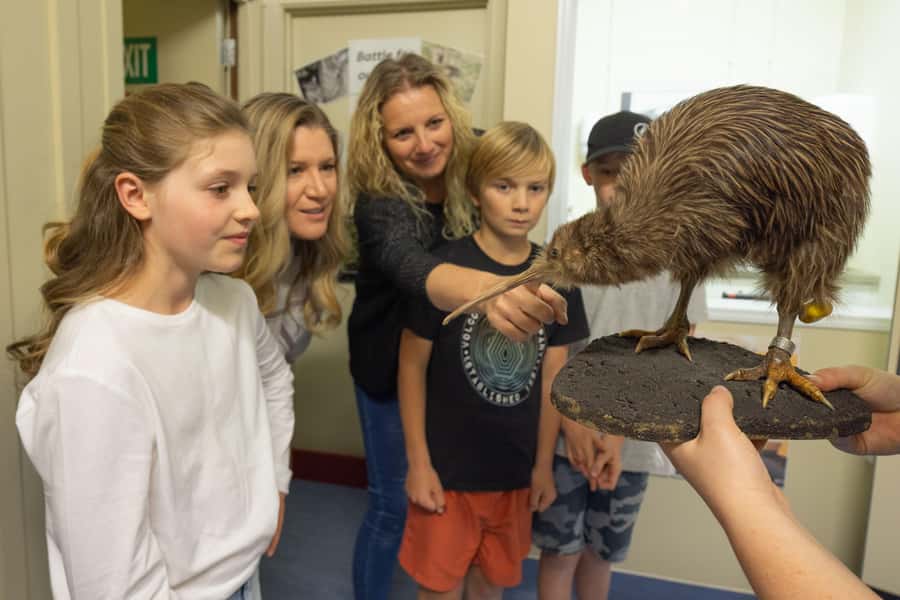 Franz Josef: Kiwi VIP Backstage Pass Tour -Booking Essential - What the Kiwi VIP Backstage Pass really includes (and what you’ll do in 45 minutes)