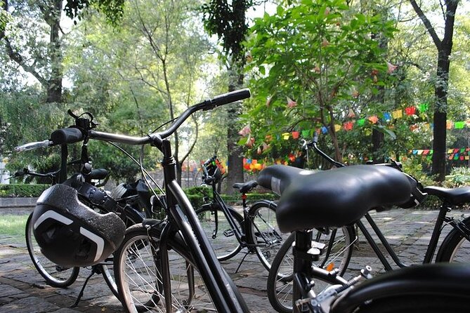 Frida Kahlo VIP - Bike & Churros [Museum Tickets Included] - Biking logistics that keep it comfortable and not stressful