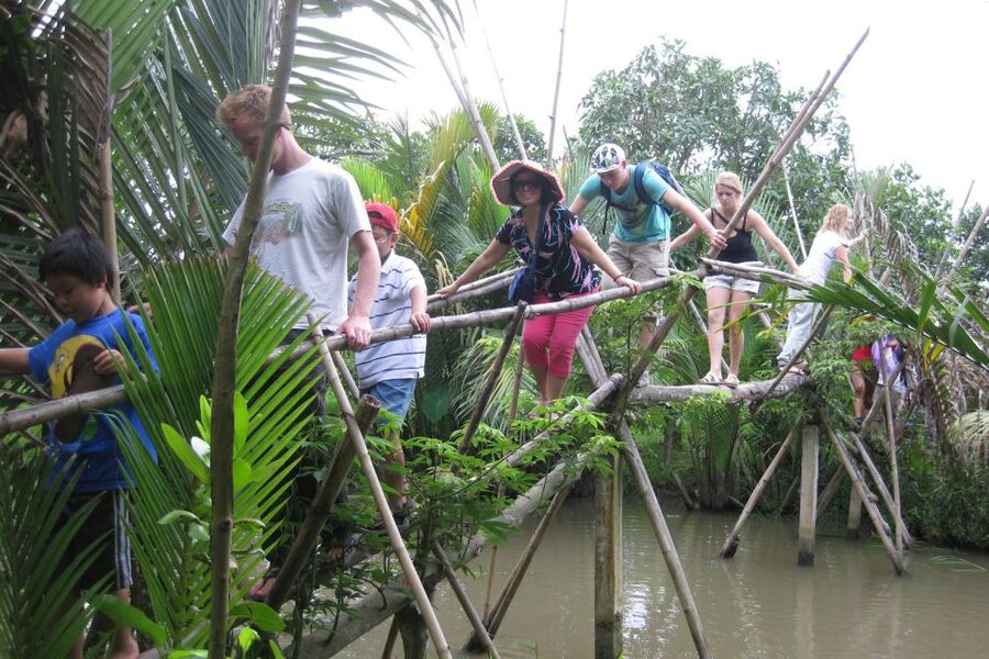 From Ho Chi Minh City: Mekong Delta VIP Tour by Limousine - Price and Value: Why $49 Can Work (If This Is Your Style)