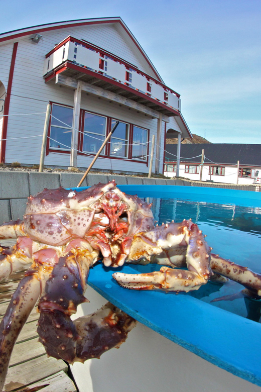 From Honningsvåg: VIP North Cape and Kingcrab Tour - Arriving at North Cape: Globe Monument, Museum, and Your Free Time Window