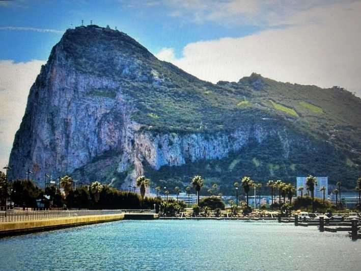 From Marbella/Estepona: VIP Gibraltar Tour Monkeys + Nature Reserve + Shopping - Key things to know before you go