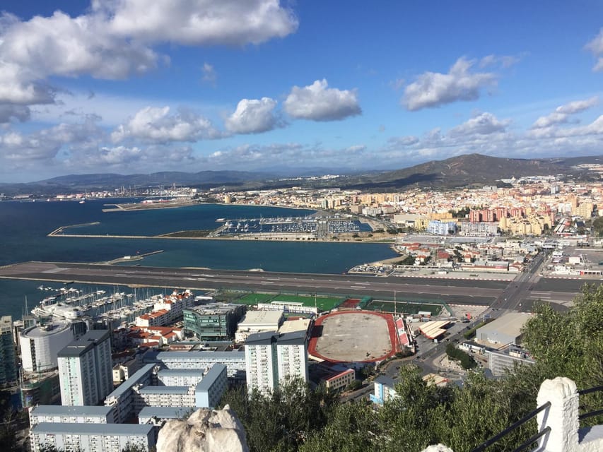 From Marbella/Estepona: VIP Gibraltar Tour Monkeys + Nature Reserve + Shopping - A 6-hour Gibraltar mix of wildlife, views, and shopping