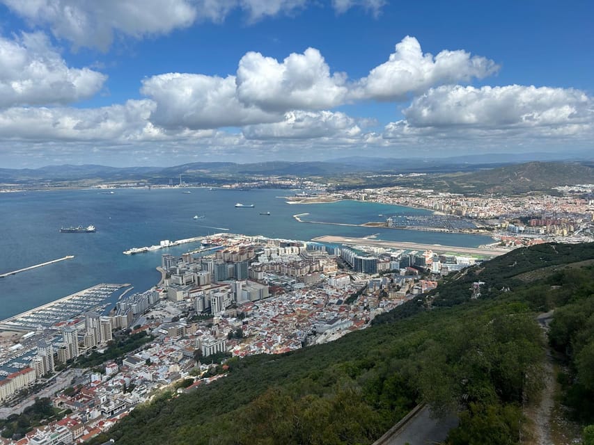 From Marbella/Estepona: VIP Gibraltar Tour Monkeys + Nature Reserve + Shopping - The Barbary apes: up close on the summit (and how to stay calm)