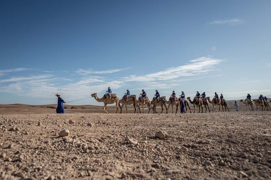 From Marrakech: VIP Agafay Desert & Oasis Camel Experience - Key highlights you’ll actually care about