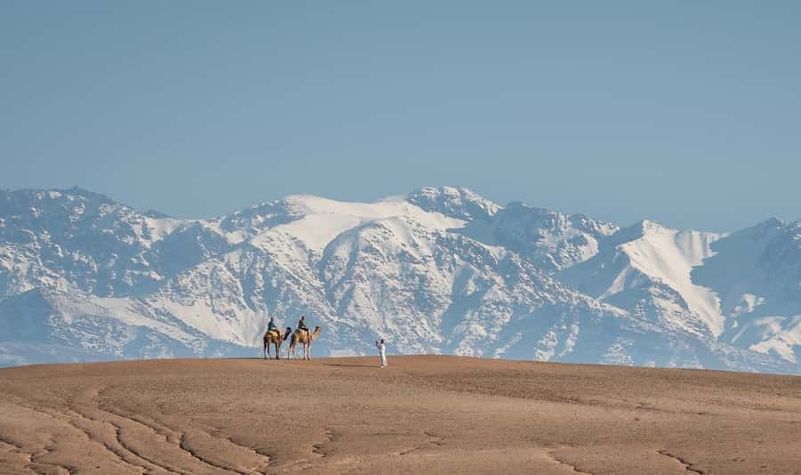 From Marrakech: VIP Agafay Desert & Oasis Camel Experience - From Marrakech to the Agafay oasis: timing and comfort