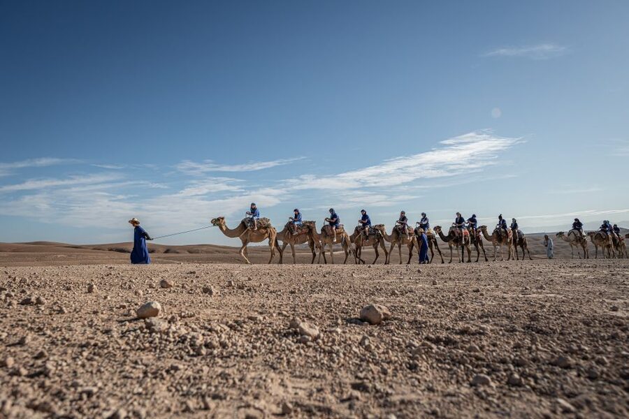 From Marrakech: VIP Agafay Desert & Oasis Camel Experience - Price and value of $57: where the money goes