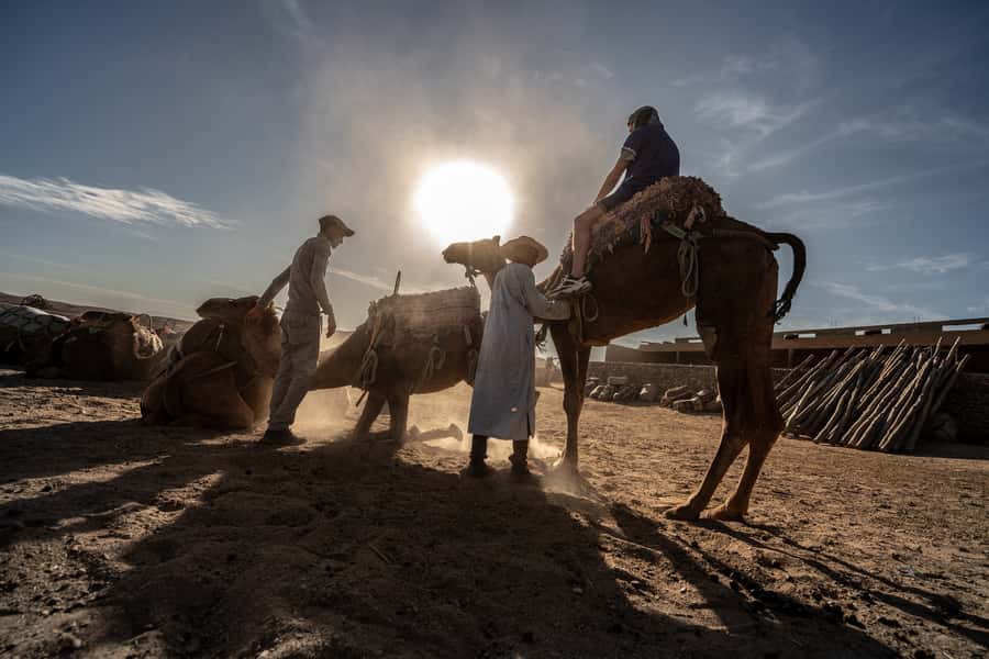 From Marrakech: VIP Agafay Desert & Oasis Camel Experience - Oasis arrival: tea, local house break, and meeting your camel buddy