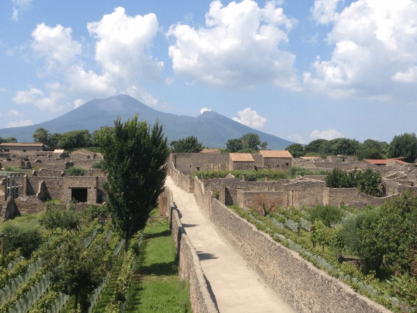 From Naples: Pompeii Ruins VIP Guided Tour - Step Into Pompeii’s Streets: Amphitheater, Theater, and the Public Face of the City